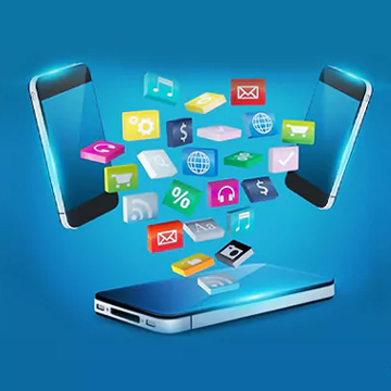 Software & Website – Netwaves